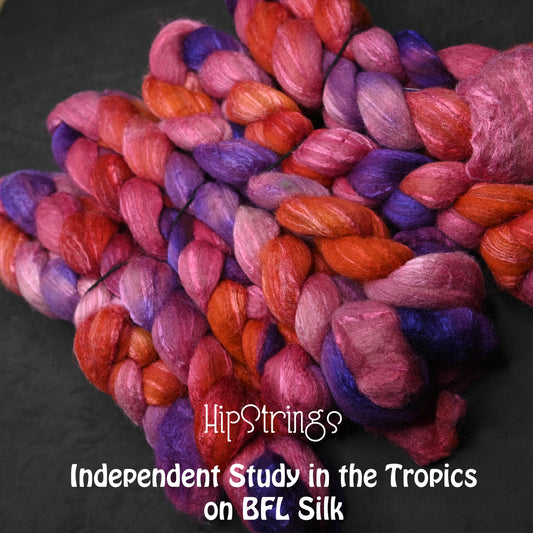 Independent Study in Tropics on Hand Dyed 85/15 Blue Faced Leicester Tussah Silk Combed Wool Top 4 oz