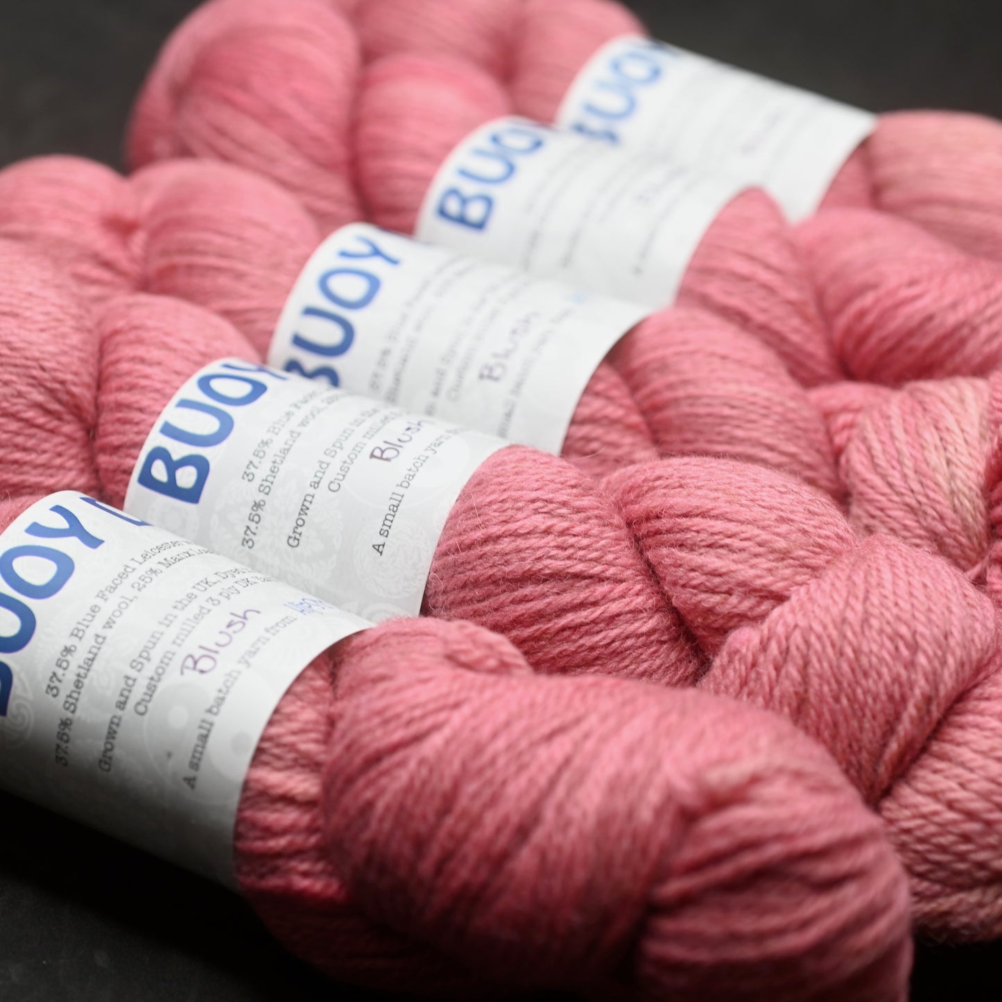 Blush on Hand Dyed Buoy DK wool yarn (BFL/Shetland/Manx) - 100 g