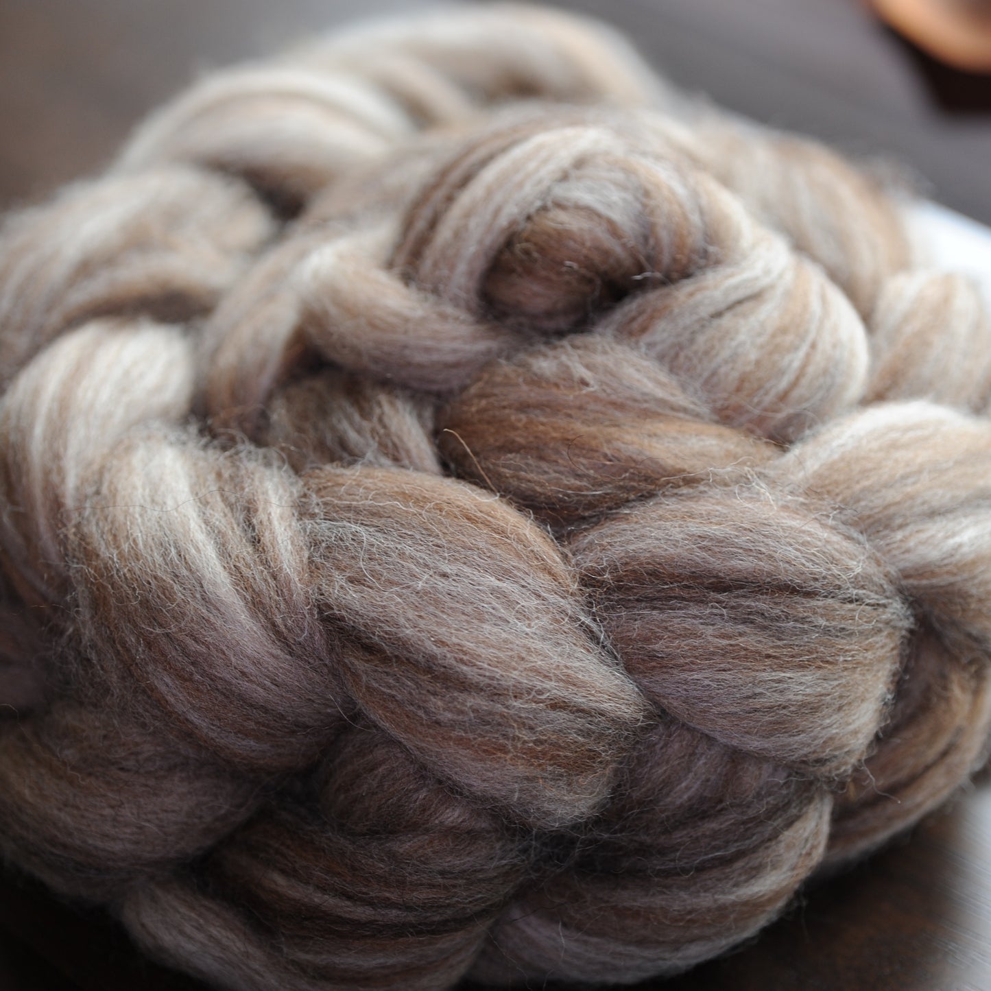 Shades of Buoy Signature Blend Combed Top - BFL Shetland Manx Loaghtan Wool - 4 oz