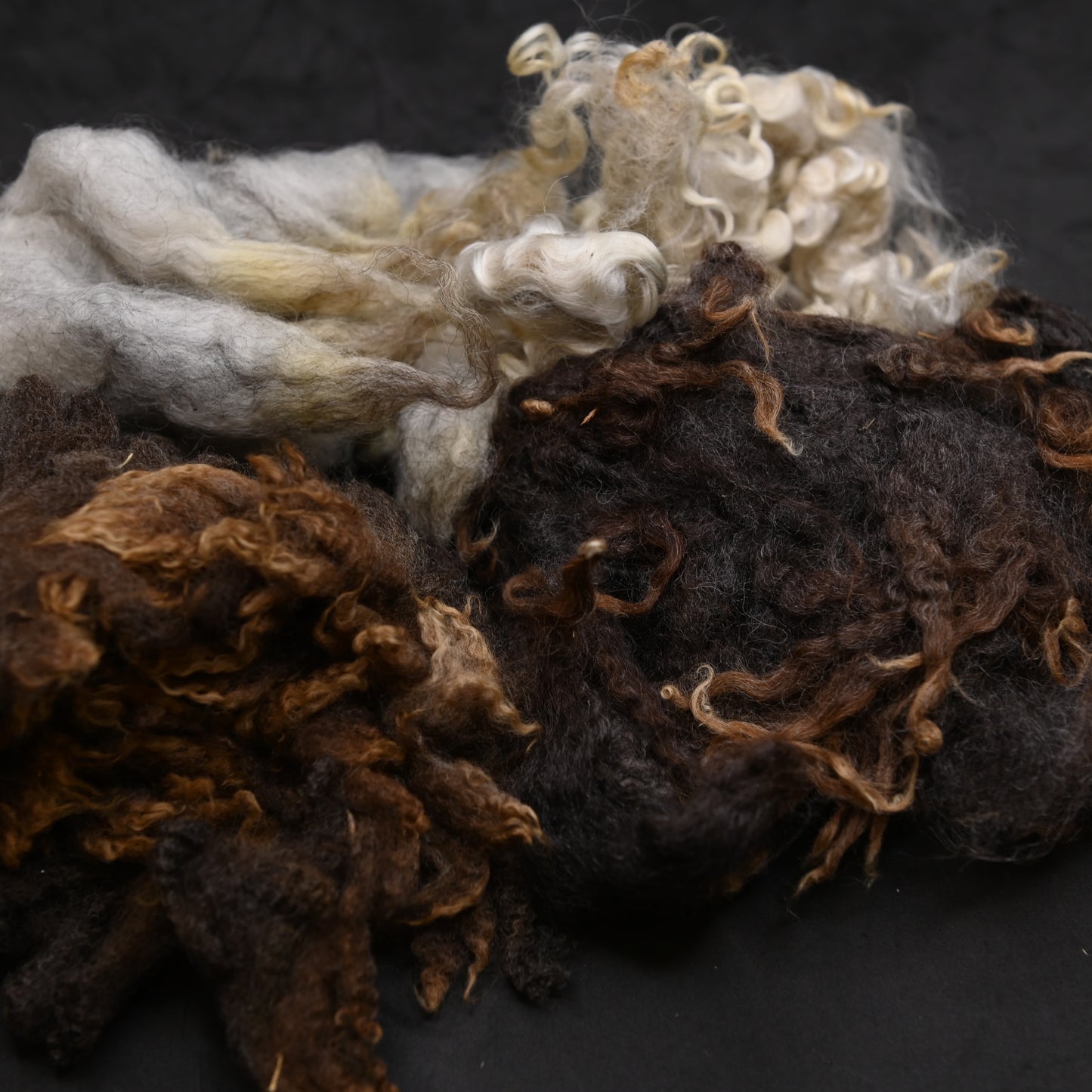 Class Kit for Diversity of Wools - MDSW Winterfest 2024