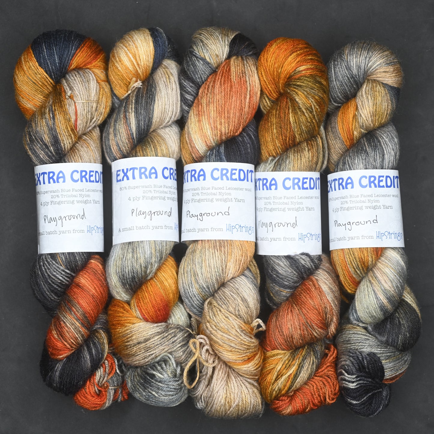 Playground on Hand Dyed Extra Credit SW BFL Nylon Sock yarn - 437 yd/100g