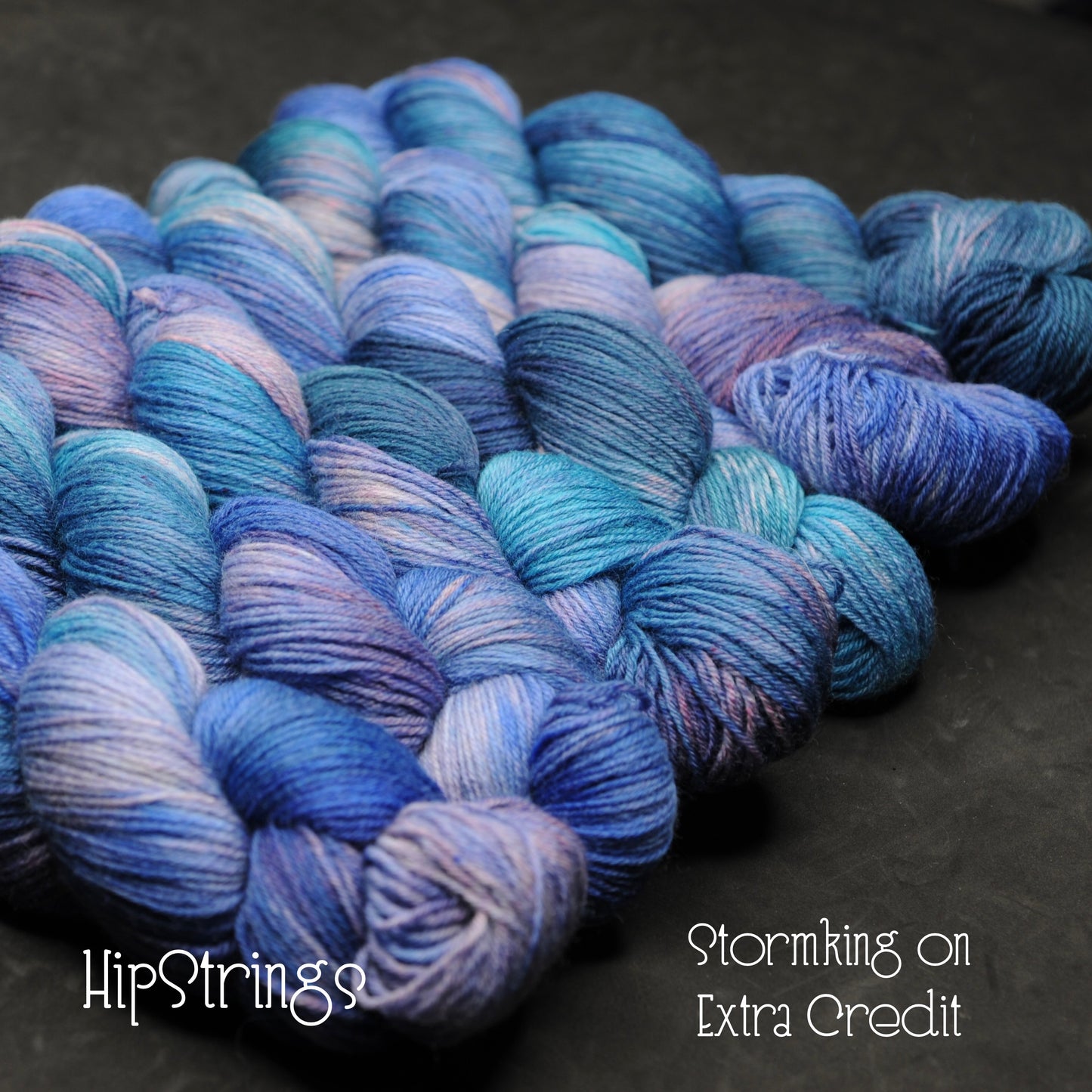 Stormking on Hand Dyed Extra Credit SW BFL Nylon Sock yarn - 437 yd/100g