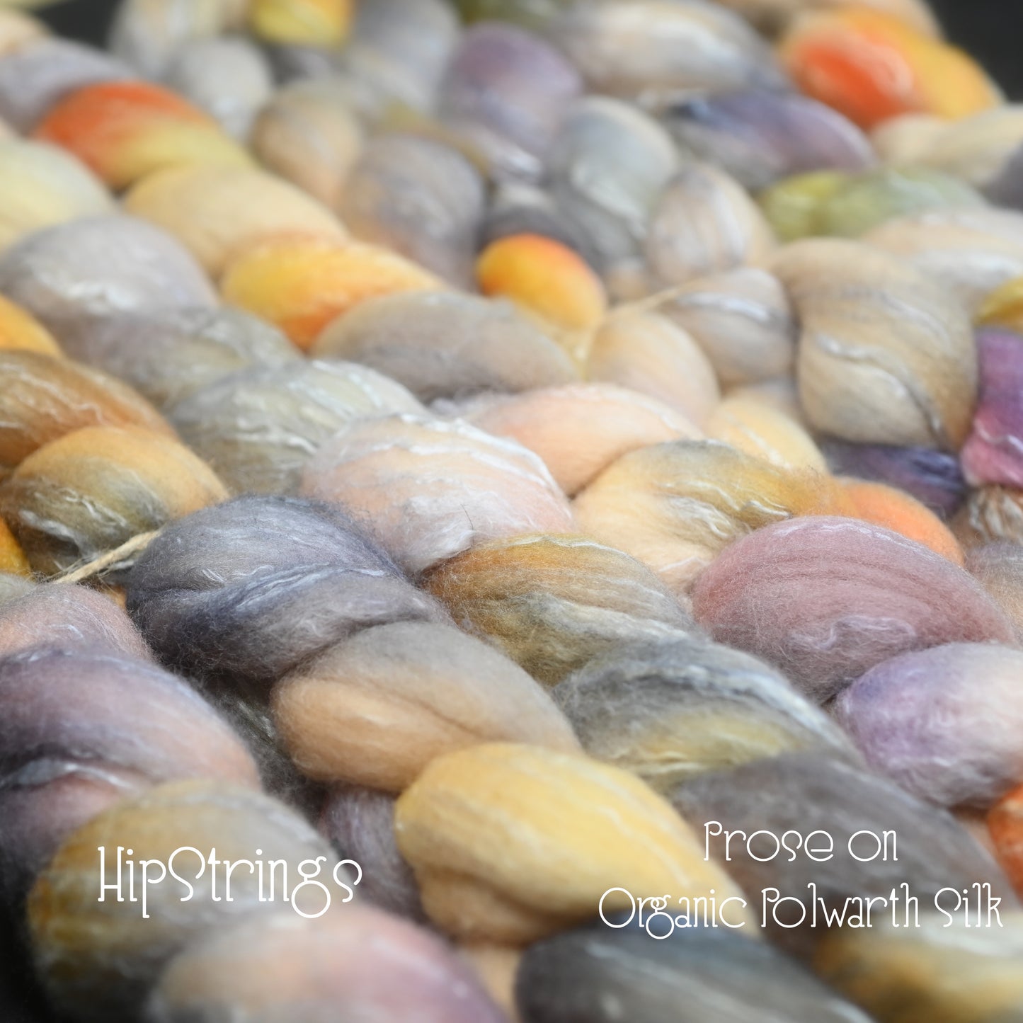 Prose on Hand Dyed Organic Polwarth Silk Combed Top - 4 oz