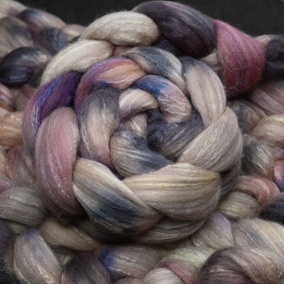 Independent Study in Breakfast Polwarth Tussah Silk Combed Top - 4 oz