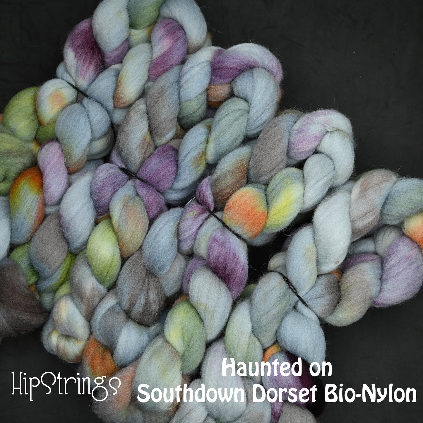 Haunted on Hand Dyed Southdown/Dorset Horn/Bio-Nylon Combed Top - 4 oz