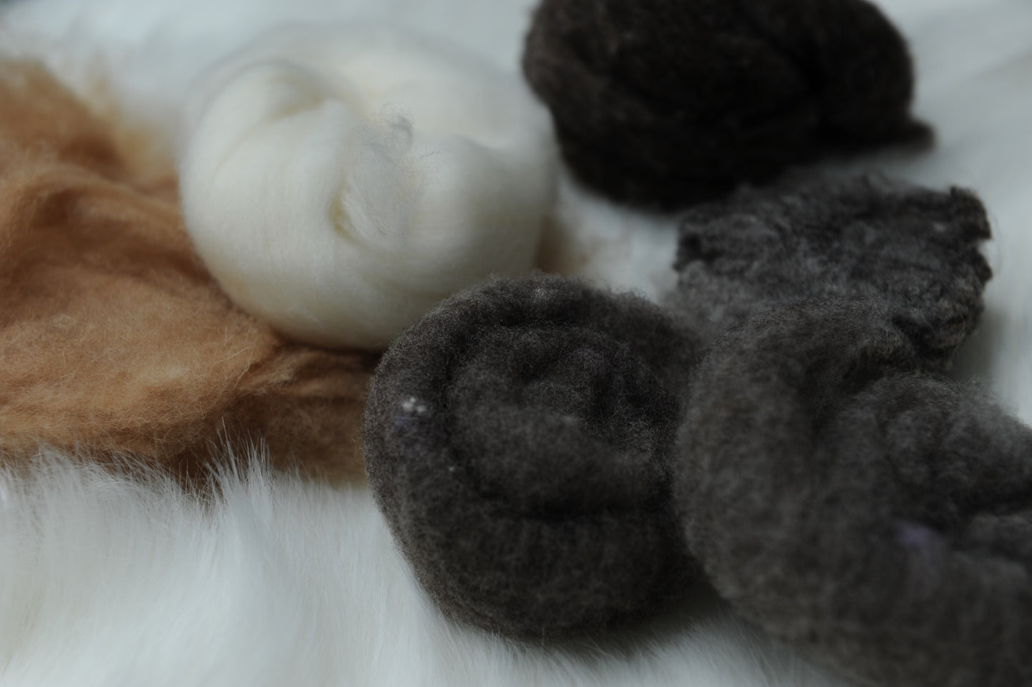 Class Kit for Short Stapled Fibers - MDSW Winterfest 2026