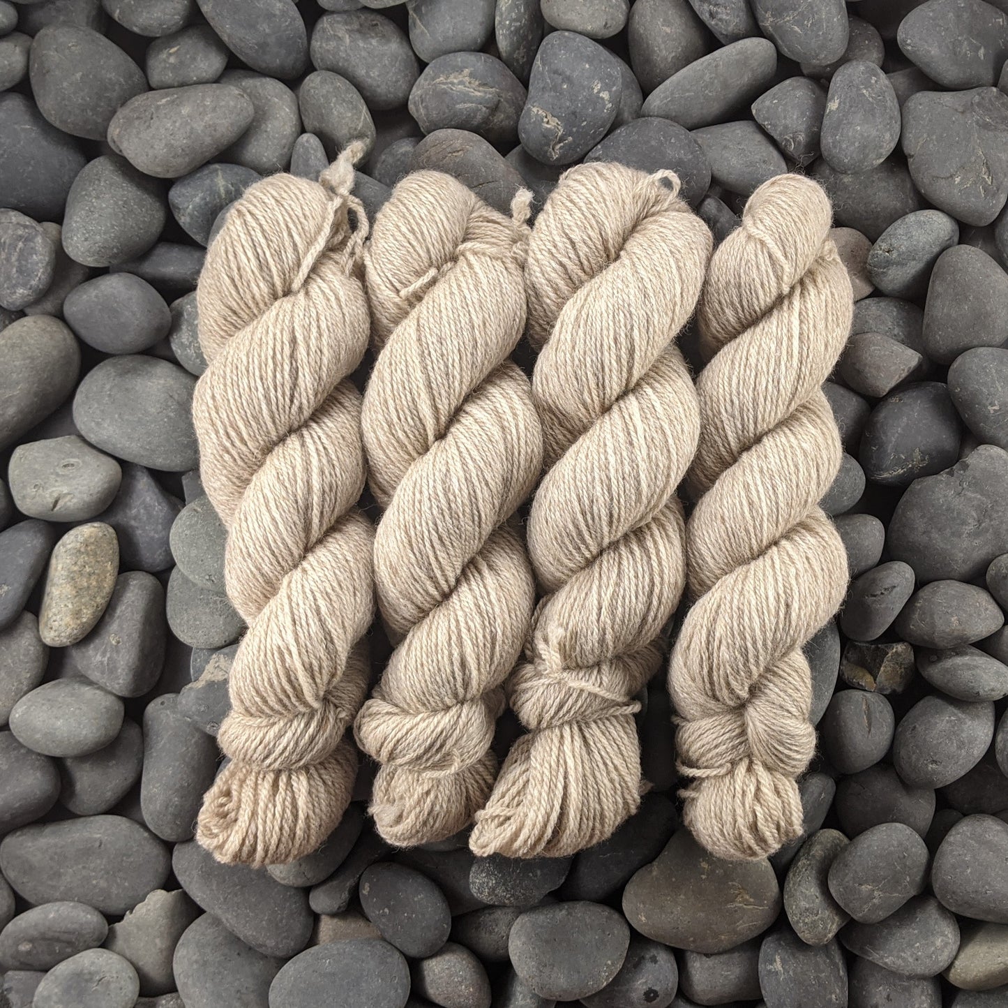 Bone - Undyed Buoy DK (BFL/Shetland/Manx) - 100g