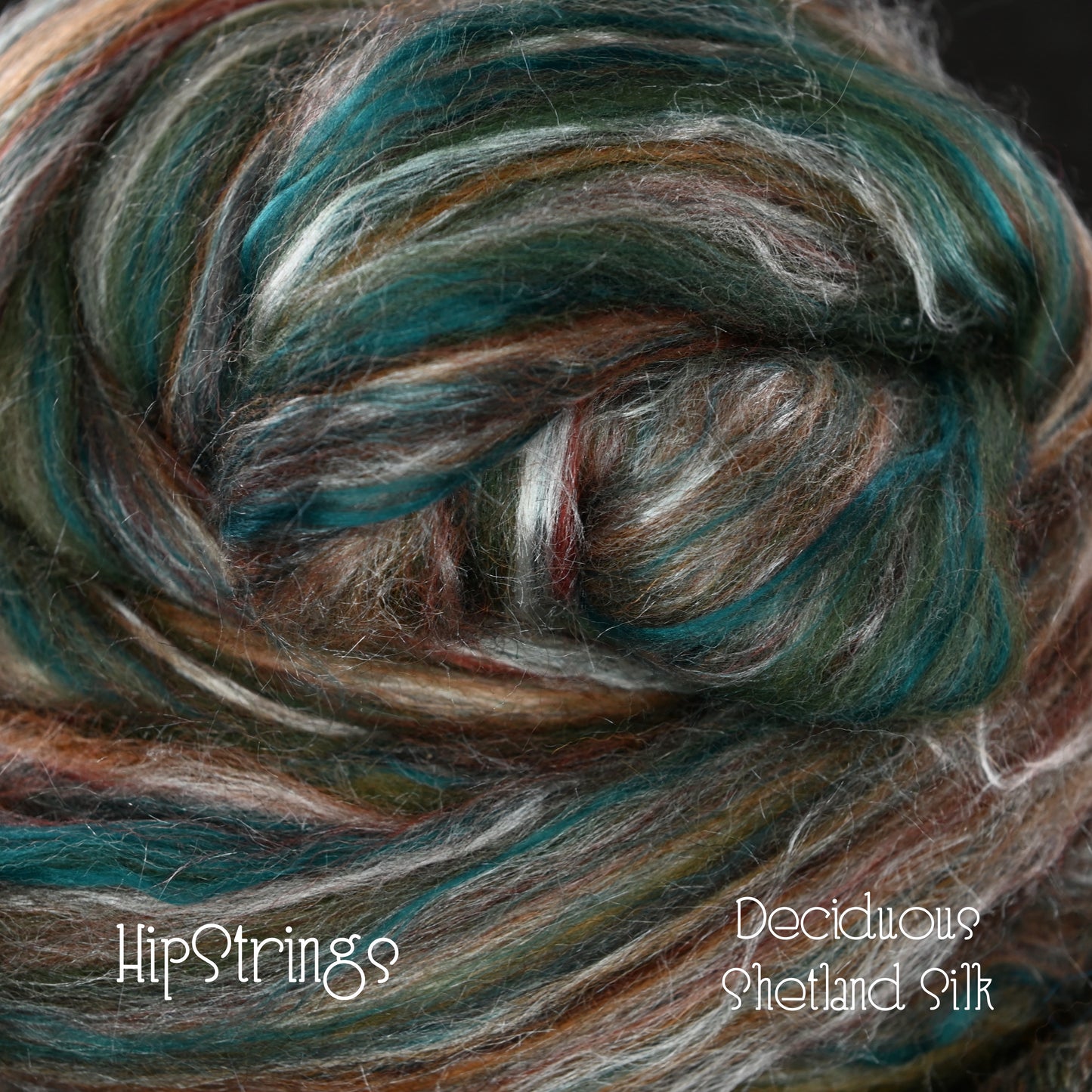 Deciduous Shetland Silk Signature Blend Combed Top - 4 oz