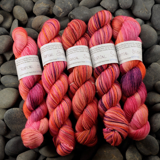 Tropical Studies on Extra Credit SW BFL Nylon Sock yarn