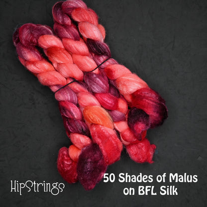 Fifty Shades of Malus on Hand Dyed 72/25 Blue Faced Leicester Tussah Silk Combed Wool Top 4 oz