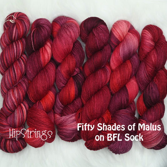 Fifty Shades of Malus on Hand Dyed SW BFL Wool Sock Yarn - 437 yd/3.5 oz