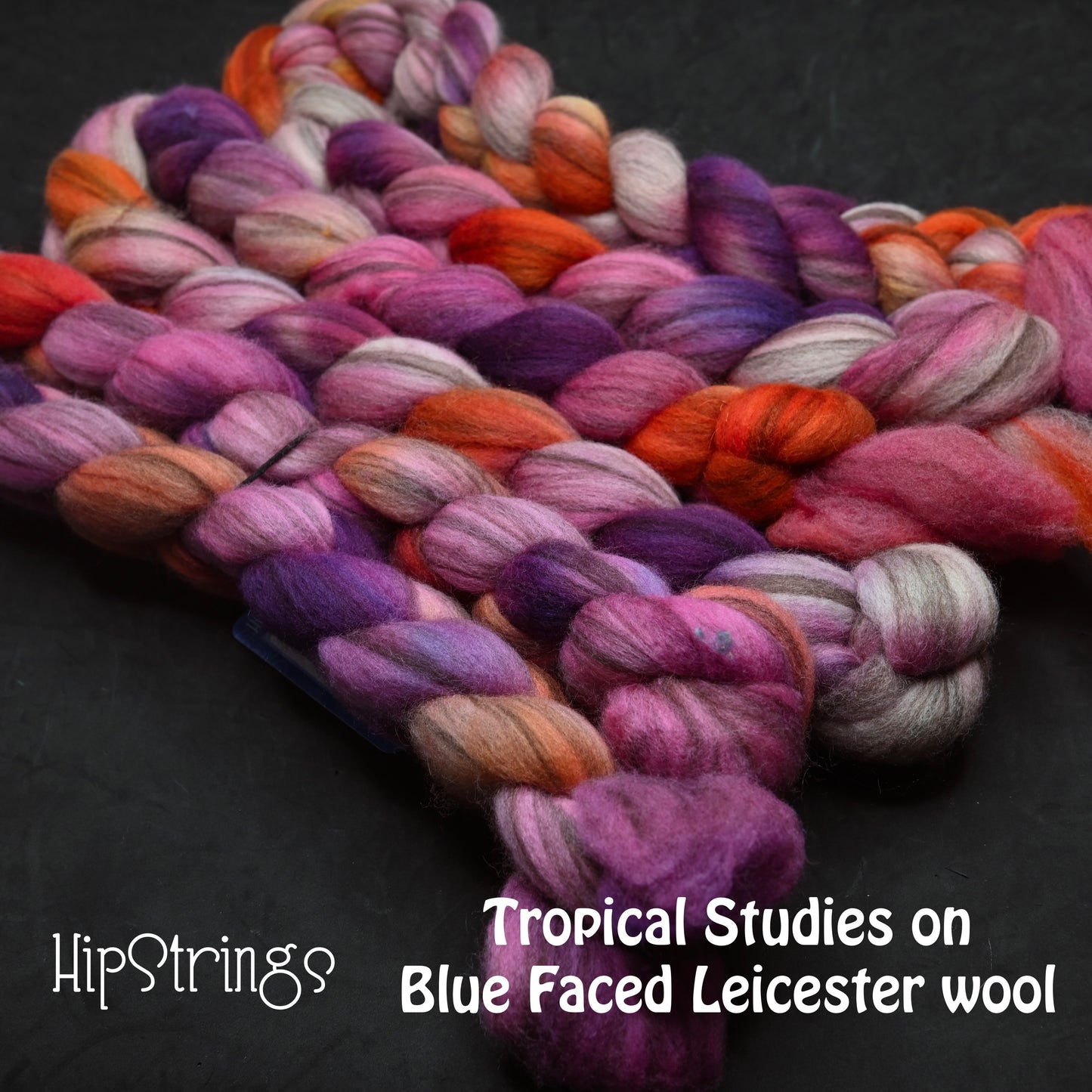 Tropical Studies on Hand Dyed Blue Faced Leicester Combed Wool Top 4 oz