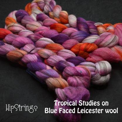 Tropical Studies on Hand Dyed Blue Faced Leicester Combed Wool Top 4 oz
