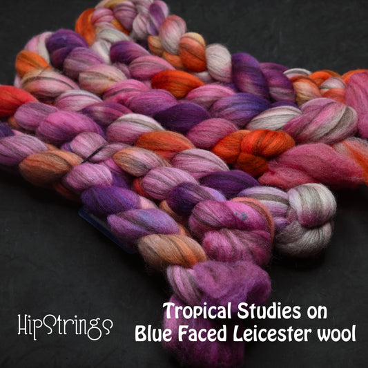 Tropical Studies on Hand Dyed Blue Faced Leicester Combed Wool Top 4 oz