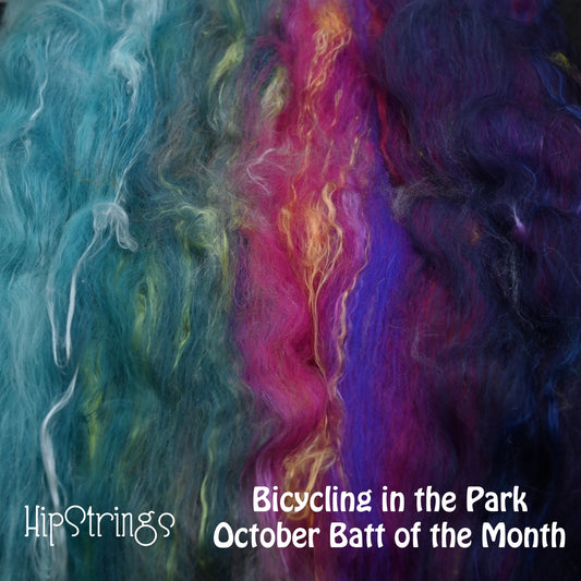 *October Exclusive* Bicycling in the Park Hand Carded Batt - Merino Cormo Bamboo Silk - 4 oz