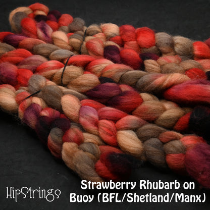 Strawberry Rhubarb - Hand Dyed Buoy (BFL/Shetland/Manx) Signature Blend - 4 oz