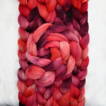 Fifty Shades of Malus on Hand Dyed Buoy (BFL/Shetland/Manx Wool) Signature Blend Combed Top - 4 oz