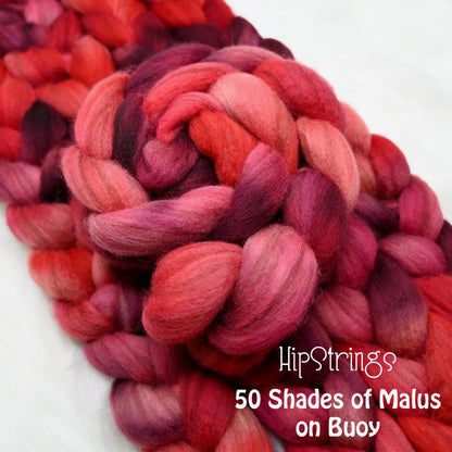 Fifty Shades of Malus on Hand Dyed Buoy (BFL/Shetland/Manx Wool) Signature Blend Combed Top - 4 oz