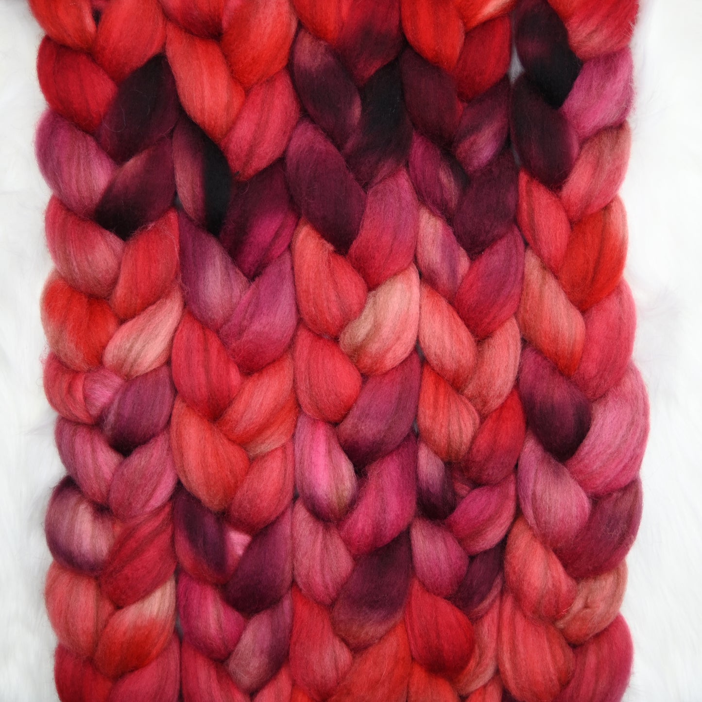 Fifty Shades of Malus on Hand Dyed Buoy (BFL/Shetland/Manx Wool) Signature Blend Combed Top - 4 oz