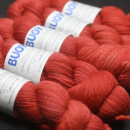 Cardinal on Buoy DK BFL/Shetland/Manx wool yarn 100 g