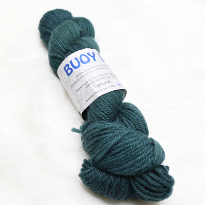 Spruce on Hand Dyed Buoy (BFL/Shetland/Manx Loaghtan) Wool DK yarn - 100 g