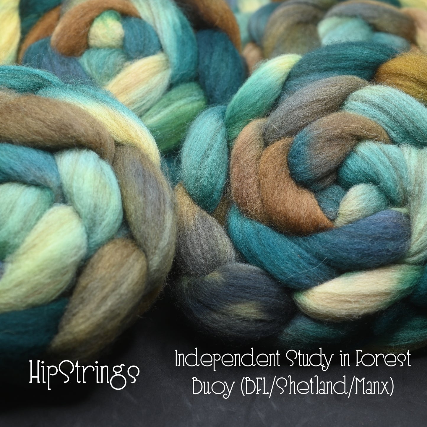 Independent Study in Forest on Hand Dyed Buoy (BFL/Shetland/Manx) Signature Blend Combed Top - 4 oz