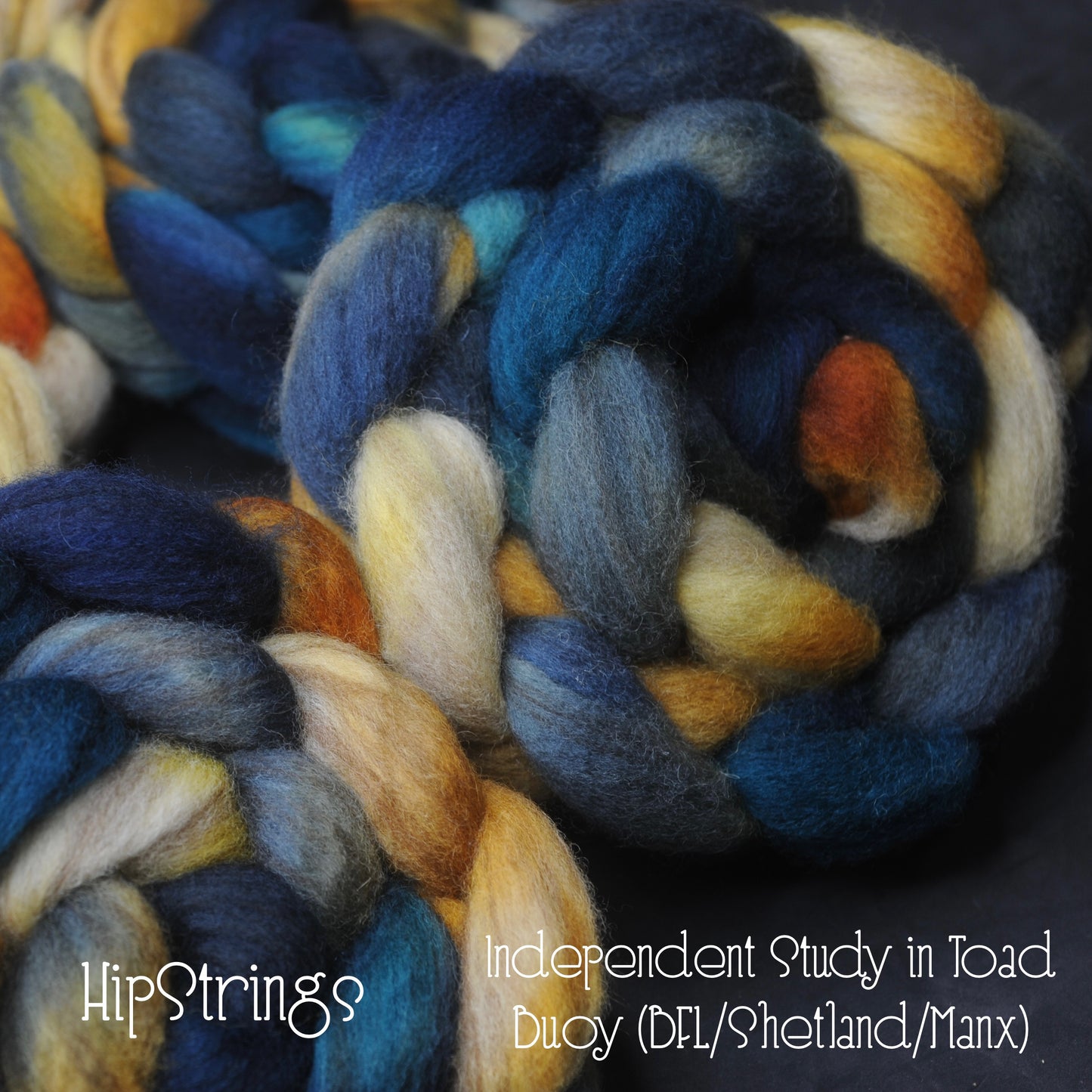 Independent Study in Toad - Hand Dyed Buoy (BFL/Shetland/Manx) Signature Blend Combed Top - 4 oz