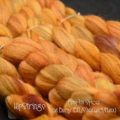 Pumpkin Spice on Hand Dyed Buoy (BFL/Shetland/Manx Wool) Signature Blend Combed Top - 4 oz