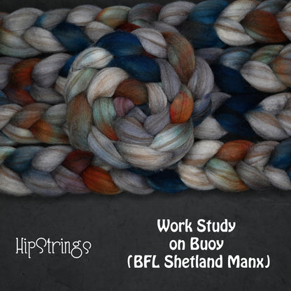 Work Study on Hand Dyed Buoy (BFL/Shetland/Manx Wool) Signature Blend Combed Top - 4 oz