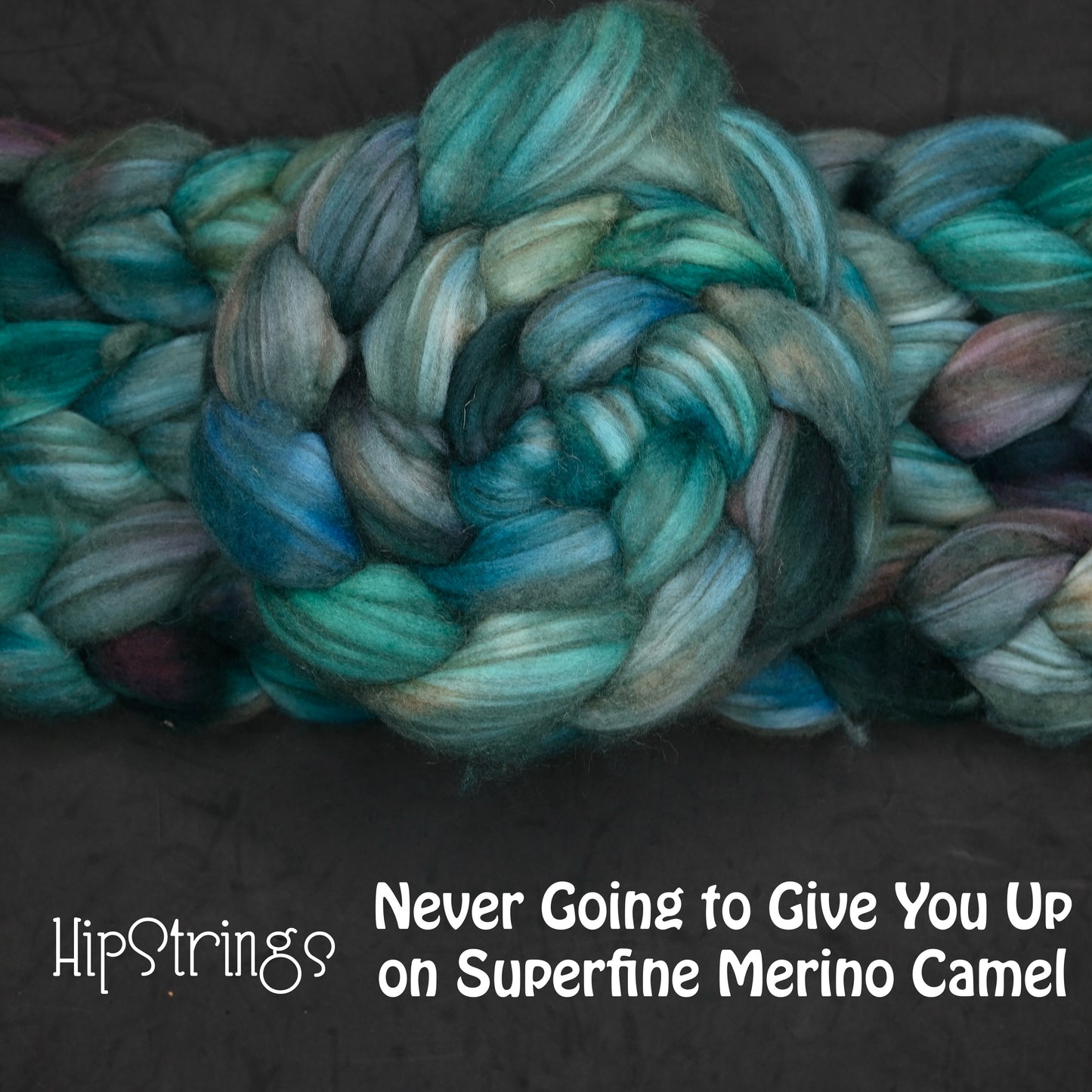 Never Going to Give You Up on Hand Dyed Baby Camel Superfine Merino wool Combed top - 4 oz