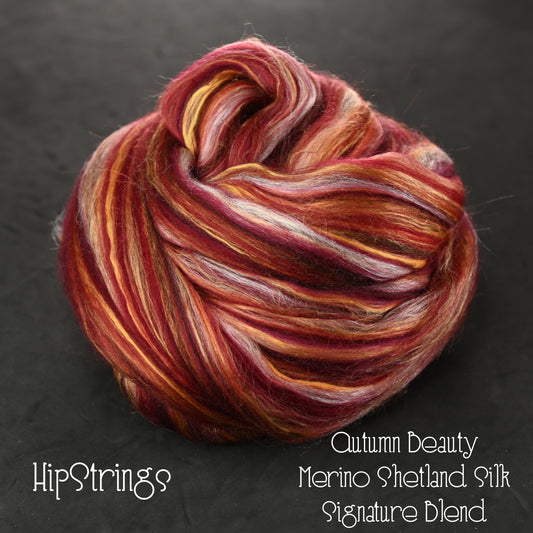 Autumn Beauty Merino Shetland Silk Signature Blend Combed Top - 4 oz