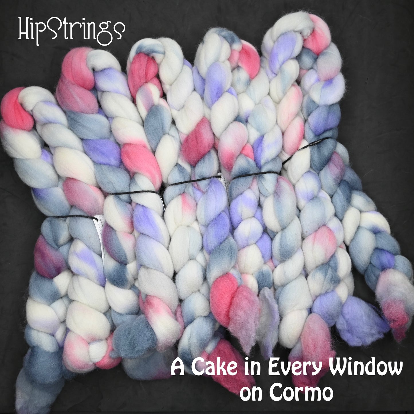 A Cake in Every Window on Hand Dyed Cormo Wool Combed Top - 4 oz