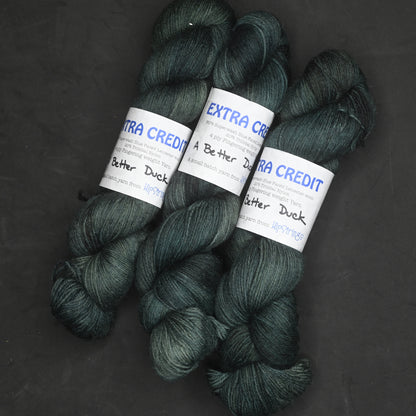 A Better Duck on Hand Dyed Extra Credit SW BFL Nylon Sock yarn - 437 yd/100g