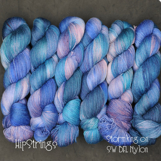 Stormking on Hand Dyed Extra Credit SW BFL Nylon Sock yarn - 437 yd/100g