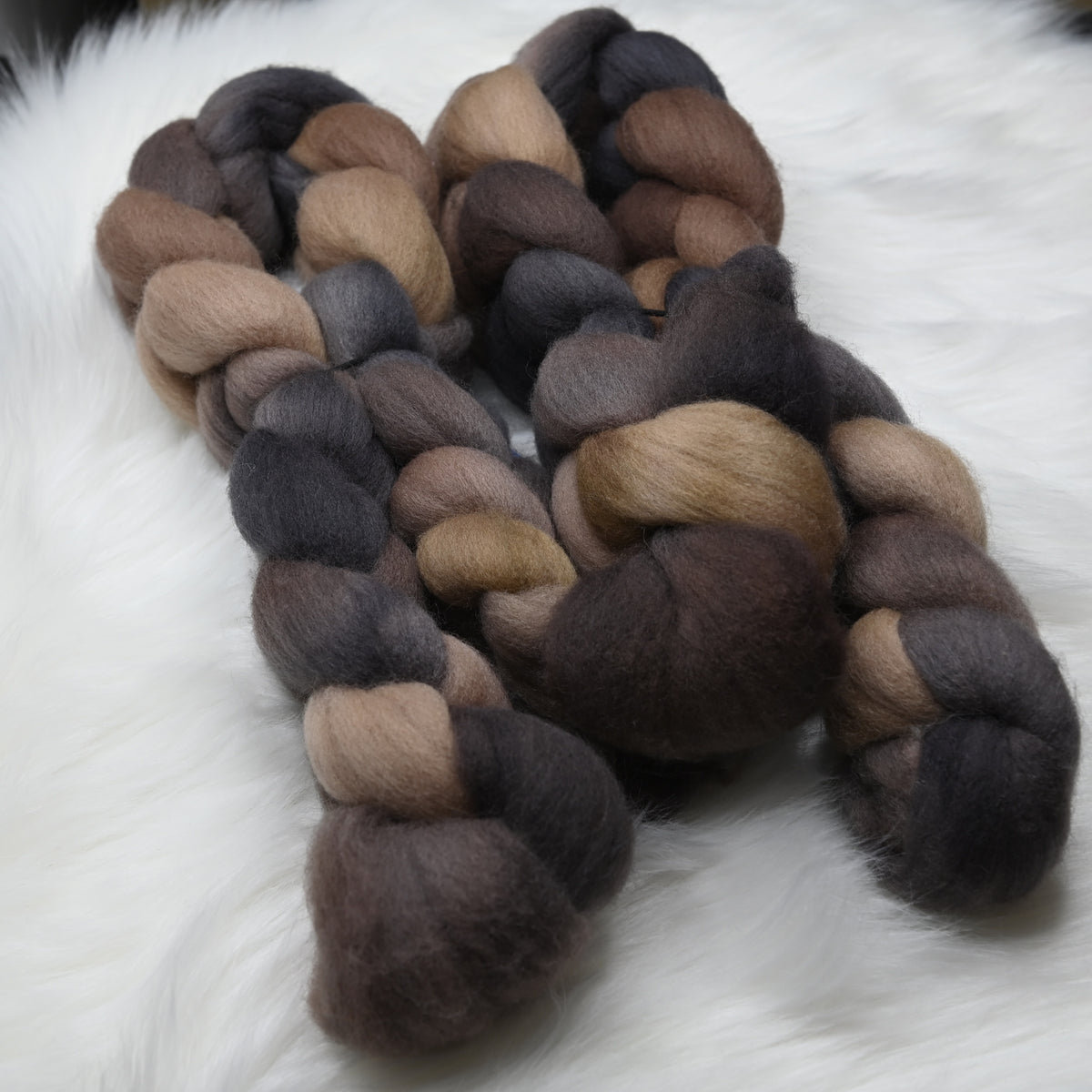 Plague Bear on Hand Dyed Falkland Wool Combed Top - 4 oz