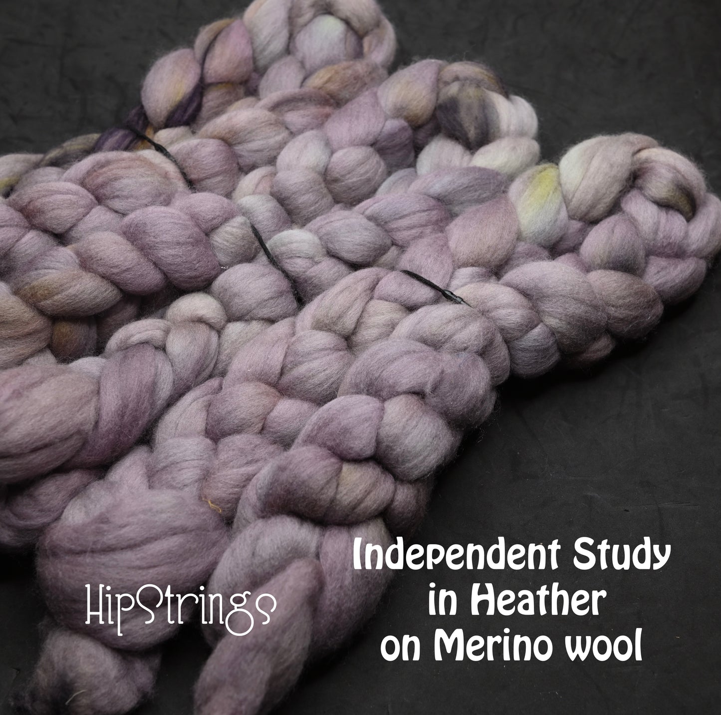 Independent Study in Heather on Hand Dyed 21.5 micron Merino Wool Combed Top - 4 oz
