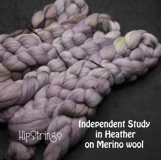 Independent Study in Heather on Hand Dyed 21.5 micron Merino Wool Combed Top - 4 oz