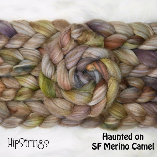 Haunted on Hand Dyed Baby Camel Superfine Merino wool Combed top - 4 oz