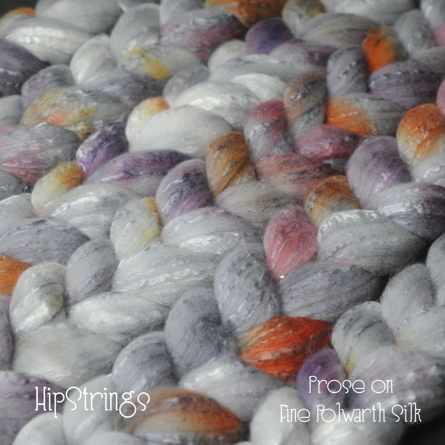 Prose on Hand Dyed Fine Polwarth Silk Combed Top - 4 oz