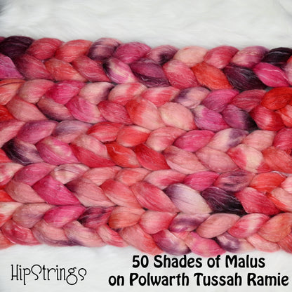 Fifty Shades of Malus on Hand Dyed Polwarth Silk Ramie Combed Top - 4 oz