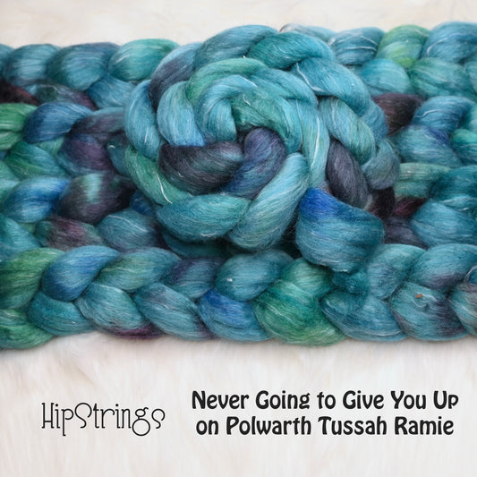 Never Going to Give You Up on Hand Dyed Polwarth Silk Ramie Combed Top - 4 oz