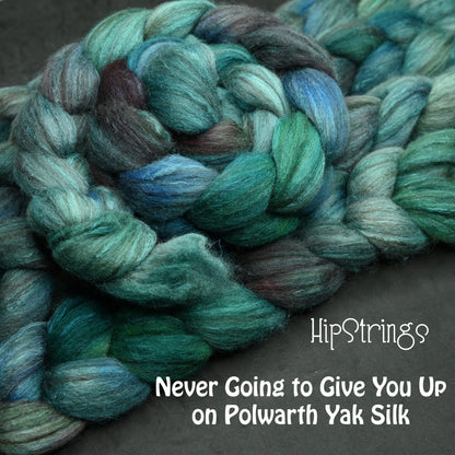 Never Going to Give You Up on Hand Dyed Polwarth Wool Yak Silk Combed Top - 4 oz