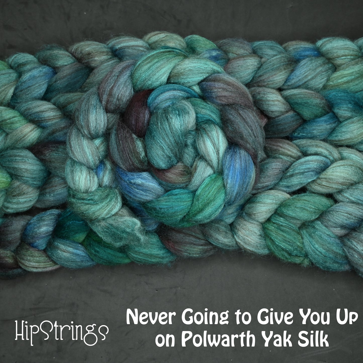 Never Going to Give You Up on Hand Dyed Polwarth Wool Yak Silk Combed Top - 4 oz