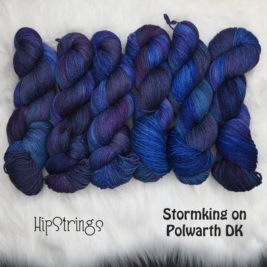 Stormking on Hand Dyed Polwarth wool DK yarn - 300 yd/100 g