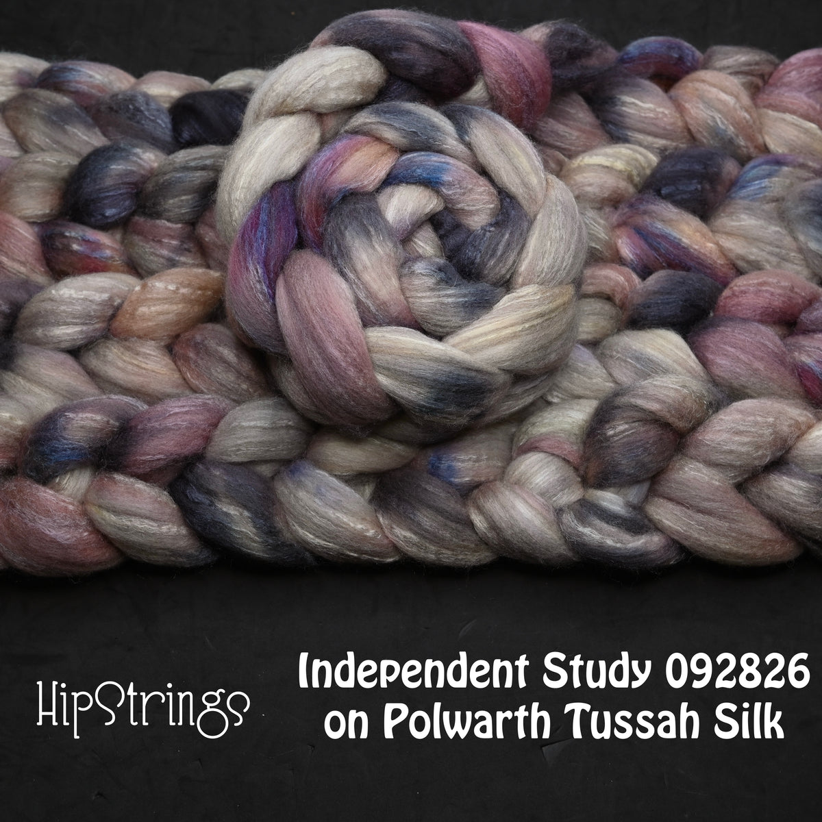 Independent Study in Breakfast Polwarth Tussah Silk Combed Top - 4 oz