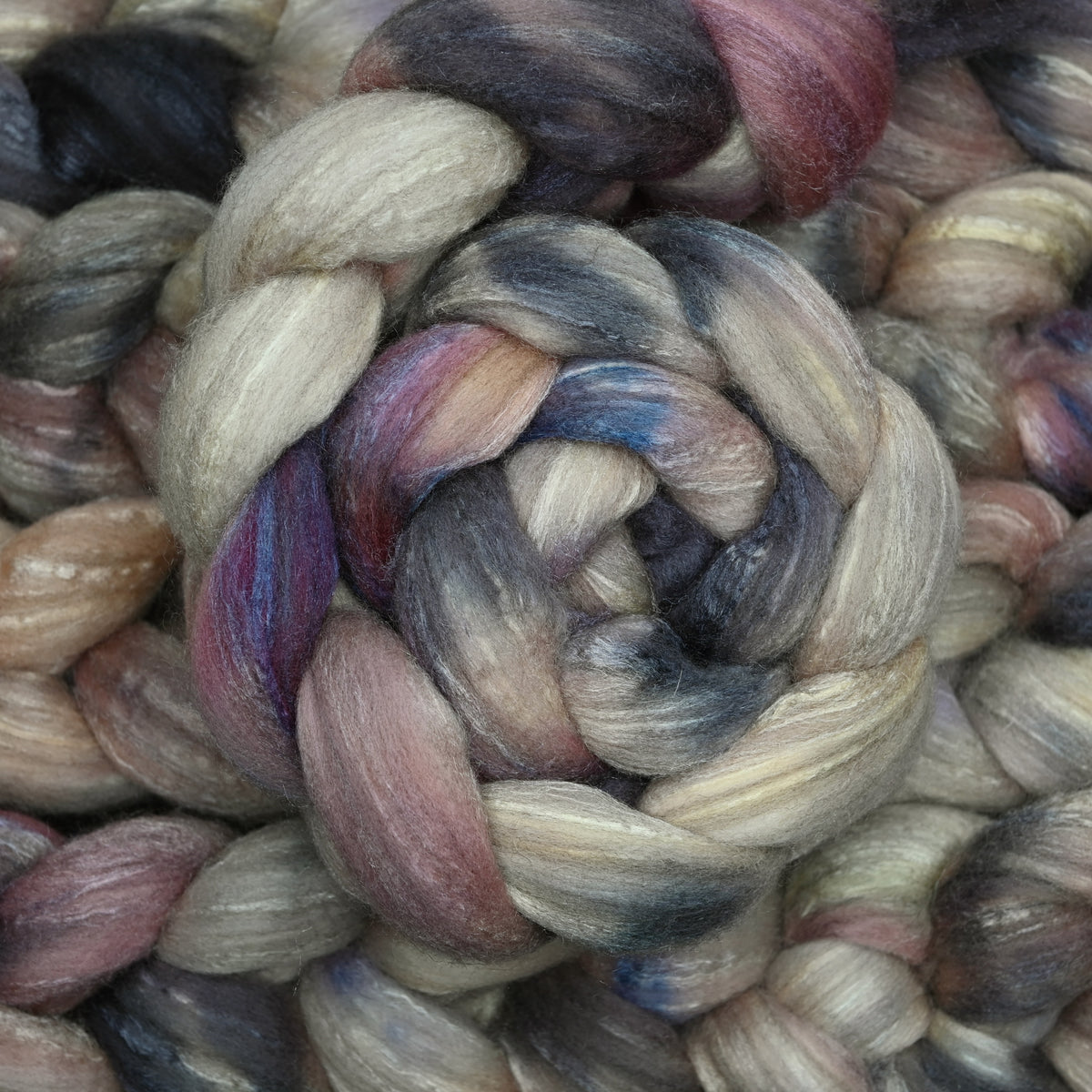 Independent Study in Breakfast Polwarth Tussah Silk Combed Top - 4 oz
