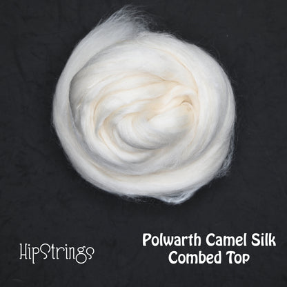 Polwarth Camel Silk Combed Top - 4 oz