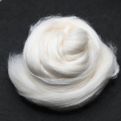 Polwarth Camel Silk Combed Top - 4 oz