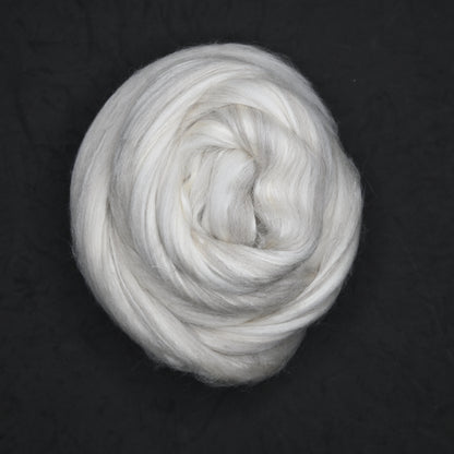 Polwarth Tussah Silk Combed Top - 4 oz