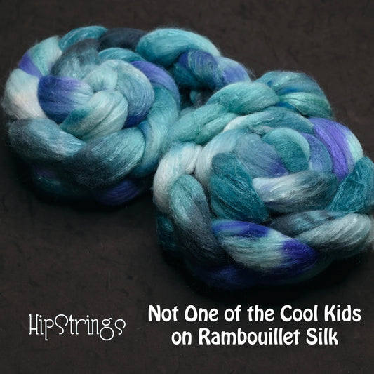 Not One of the Cool Kids on Hand Dyed 80/20 Rambouillet Wool Tussah Silk Combed Top - 4 oz